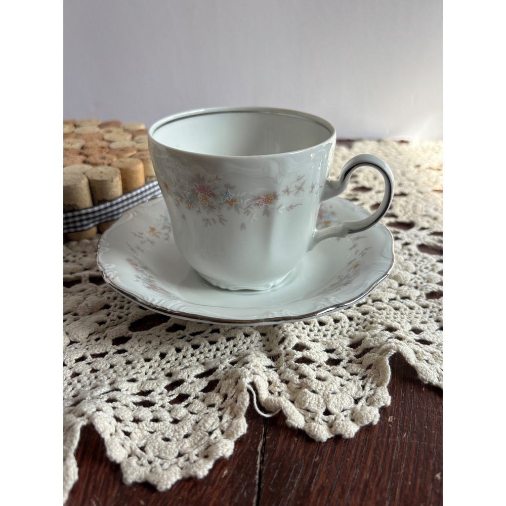 Johann Haviland Bavaria Blue Garland Tea Cup and Saucer Set Silver Trim Germany